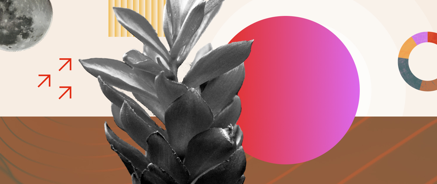 Gs 15 transwave jamaica